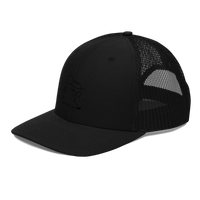 The Slate Roof Snapback light