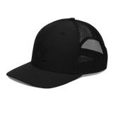 The Slate Roof Snapback light