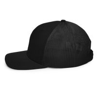 The Slate Roof Snapback light