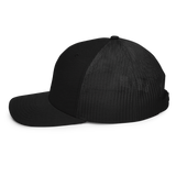 The Slate Roof Snapback light