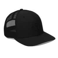 The Slate Roof Snapback light