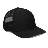 The Slate Roof Snapback light