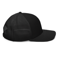 The Slate Roof Snapback light