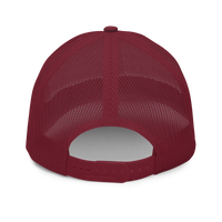 The Slate Roof Snapback light