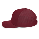 The Slate Roof Snapback light